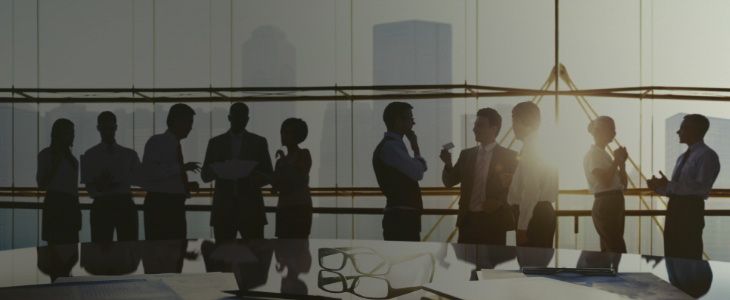 Meeting the Leadership Challenge (CU)